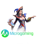 Micro Gaming